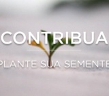 Contribuab